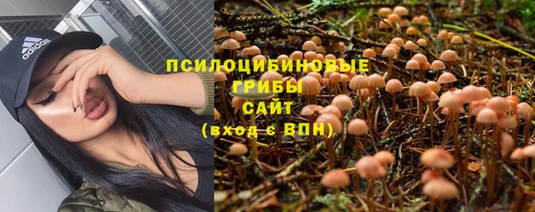 не бодяженный Нязепетровск
